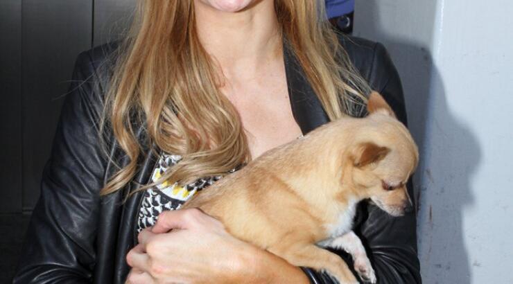 Δείτε το νέο φίλο της Paris Hilton [φωτογραφίες]