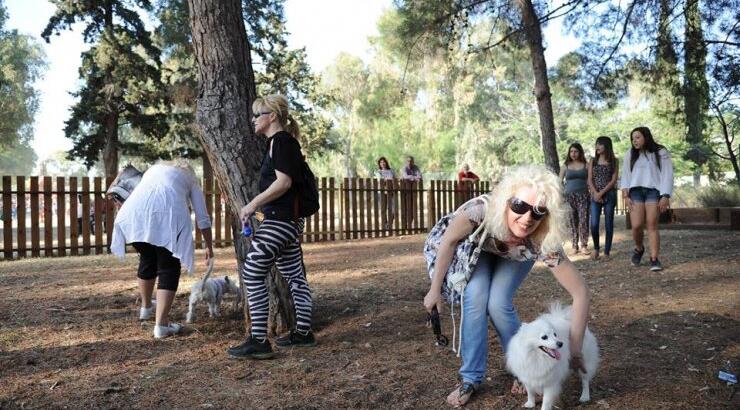 Έρχεται πάρκο για σκύλους στον Αρχάγγελο!