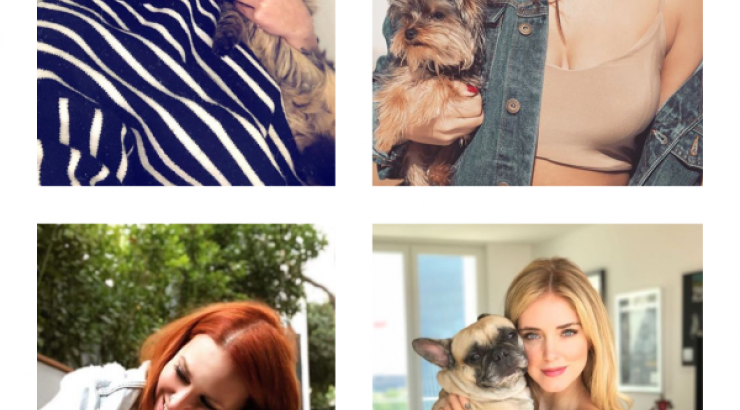 5 celebrities που έφτιαξαν λογαριασμό στο instagram για τα κατοικίδιά τους!