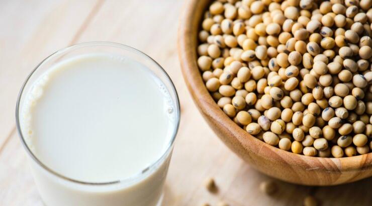 Η σημασία της πρωτεΐνης στη διατροφή μας