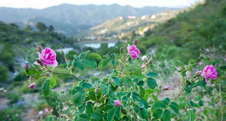 Μια μέρα αφιερωμένη στη φύση και την ομορφιά