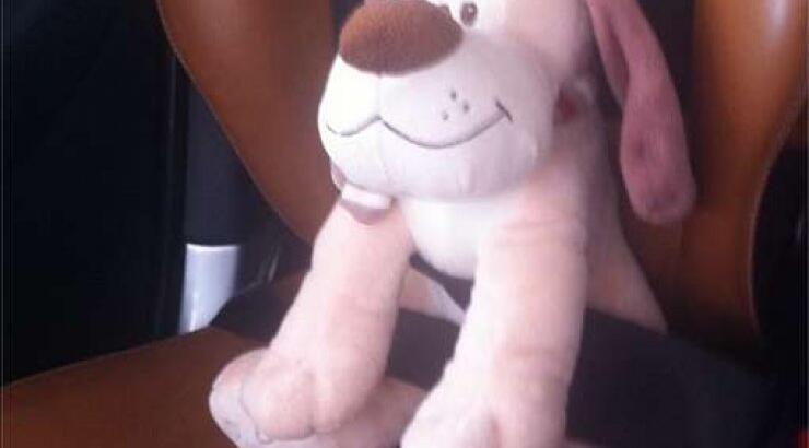 Ποια Ελληνίδα τραγουδίστρια έβγαλε βόλτα το μπουλουκάκι της!