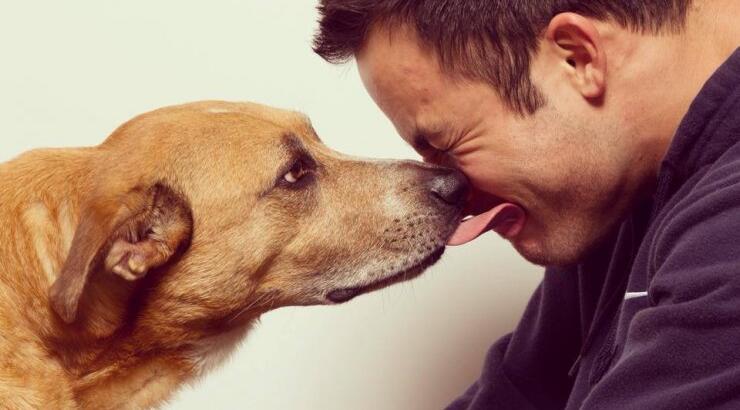 Επτά ασθένειες που μπορεί να κολλήσετε από τα κατοικίδια