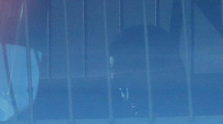 Συνελήφθη διάσημος ράπερ [εικόνες]