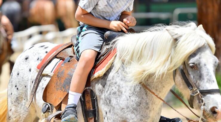 Gwen Stefani: Ατελείωτες ώρες με τα παιδιά της [εικόνες]