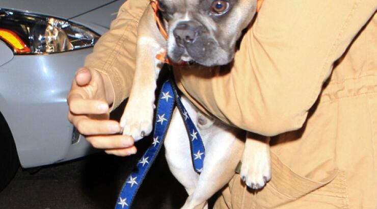 Η Lady Gaga απέκτησε νέο φίλο [εικόνες]