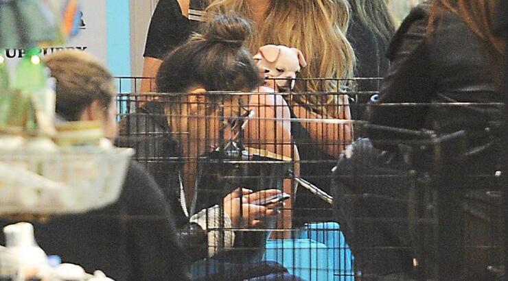 Νέο μέλος στην οικογένεια διάσημου ζευγαριού [εικόνες]