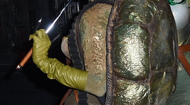 Η Rihanna το χελωνονιντζάκι [εικόνες]