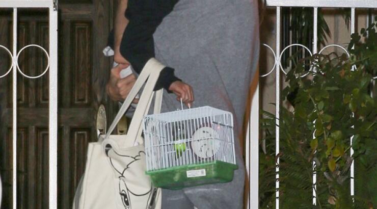 Angelina Jolie: Το τρυφερό φιλί στην κόρη της [εικόνες]