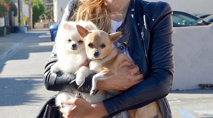 Ποιο αγαπημένο πρόσωπο έχασε η Paris Hilton; [εικόνες]