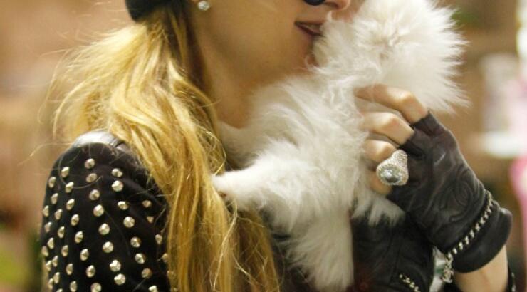 Paris Hilton: Τα φιλιά στο στόμα σε ποιον τα δίνει; [εικόνες]