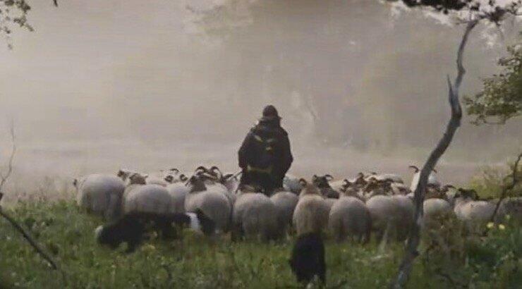 Φάρμα: Δεν θα πιστέψεις ποιος Έλληνας παρουσιαστής μόλις υπέγραψε για την παρουσίαση [εικόνα]