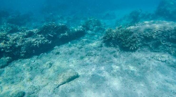 Θαλάσσιο Κολλαγόνο (Marine Collagen)