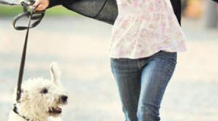 Περπατώ στην πόλη με το σκύλο μου!