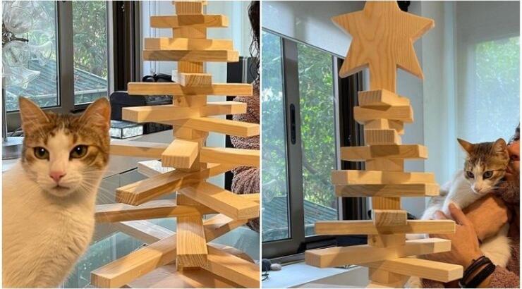 Κύπριος πρωταγωνιστής στόλισε το πιο πρωτότυπο Χριστουγεννιάτικο δέντρο