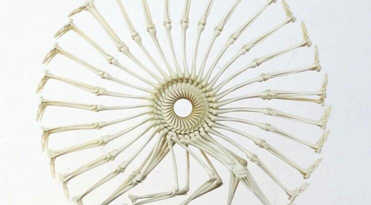 Ο τροχός της ζωής