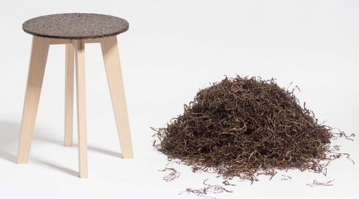 Κάθισμα από φύκια