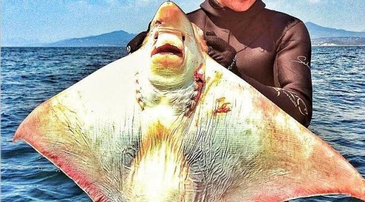 Το τεράστιο σαλάχι που έπιασε ο Σάκης Ρουβάς!