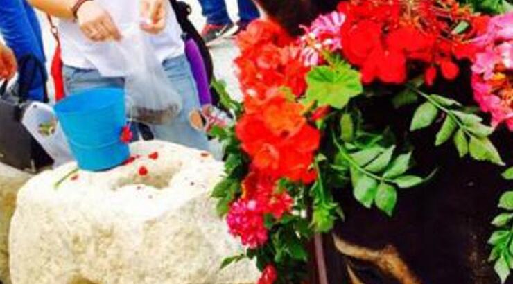 Μία γιορτή με τα "Μαγιάτικα Γαϊδουράκια"