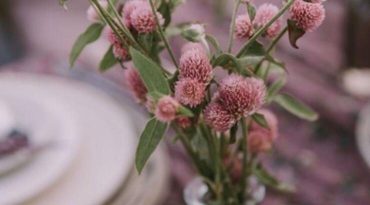 Τι προβλέπουν τα ζώδια για τη Δευτέρα 23 Σεπτεμβρίου 2019;