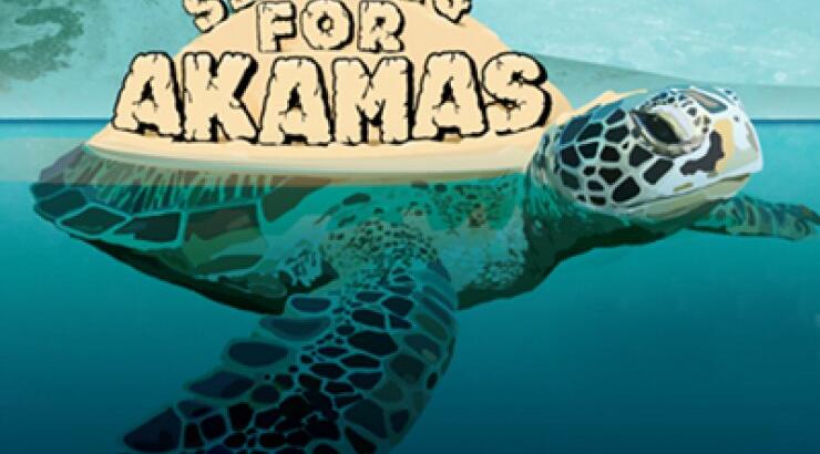 Μονοήμερο φεστιβάλ με σκοπό... στη Λεμεσό