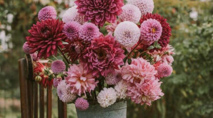 Τι προβλέπουν τα ζώδια για την Πέμπτη 19 Σεπτεμβρίου 2019;