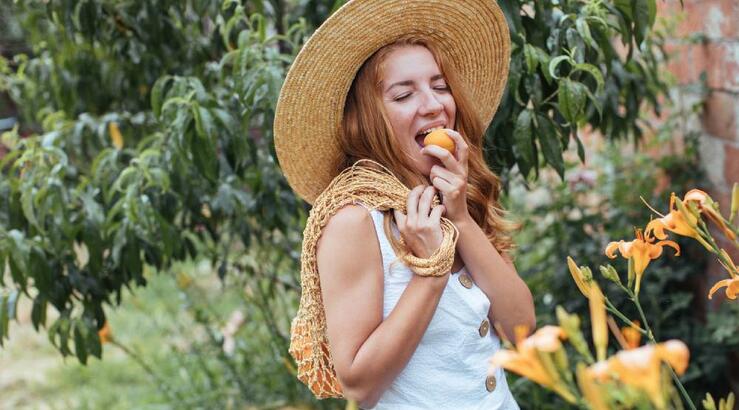 Όλα όσα θέλεις να γνωρίζεις για τα βερίκοκα 