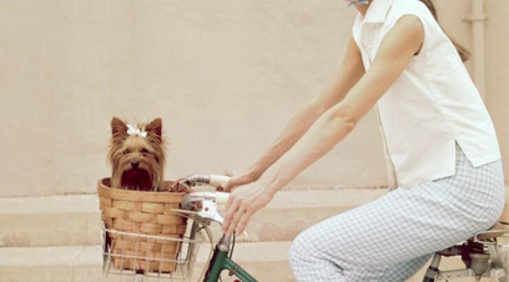 Ποδήλατο: ένα παλιό - νέο μέσο μεταφοράς