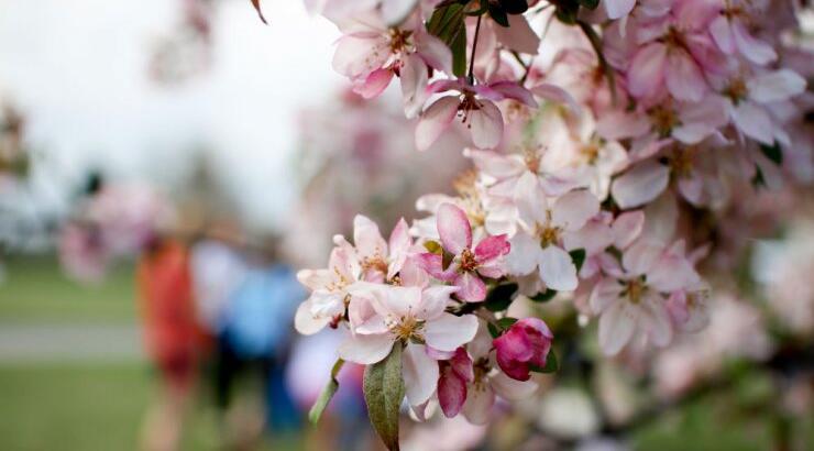Τι προβλέπουν τα ζώδια για την Τετάρτη 1 Μαϊου 2019;
