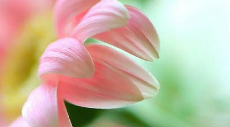 Ανοιξιάτικες αλλεργίες: 8 τρόποι να διώξεις τα συμπτώματα!