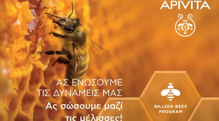 Η APIVITA γιορτάζει την Παγκόσμια Ημέρα Μέλισσας!