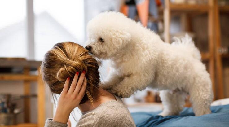 Αστρολογικές προβλέψεις για την Πέμπτη 23 Ιανουαρίου 2025