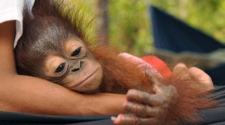 Φωτογραφία που συγκλονίζει: «Γιατί να το κάνουν αυτό σε μένα;»