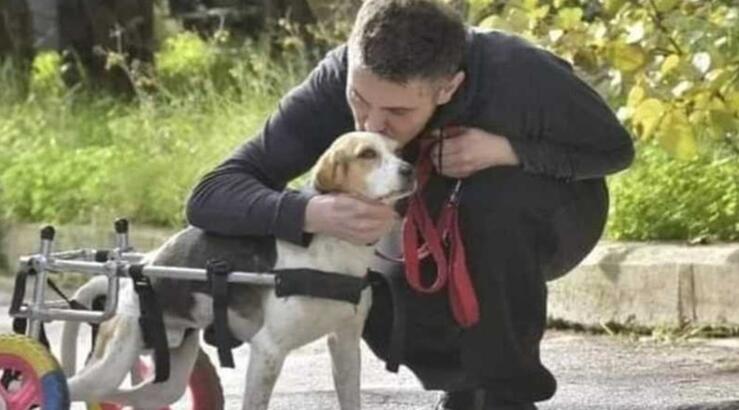 Μιχάλης Χατζηγιάννης: Συγκινεί με την ανάρτησή του αφιερωμένη στη σκυλίτσα του [βίντεο]