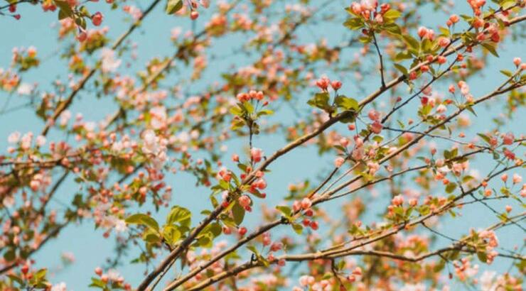 Τι προβλέπουν τα ζώδια για την Κυριακή 28 Απριλίου 2019;