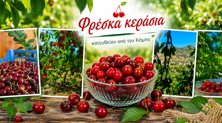 «Το ρουμπίνι του Κάμπου». Η γιορτή του κερασιού την οποία ο κόσμος όλος αγάπησε και μιλά γι’ αυτήν.