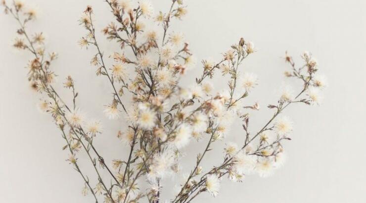 Τι προβλέπουν τα ζώδια για τη Δευτέρα 29 Απριλίου 2019;