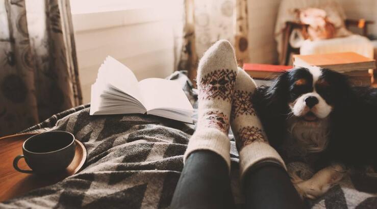 Μηνιαίες αστρολογικές προβλέψεις για τον Νοέμβριο 2024