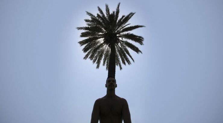 Εικαστική Έκθεση: "I’ve made you a palm-tree"