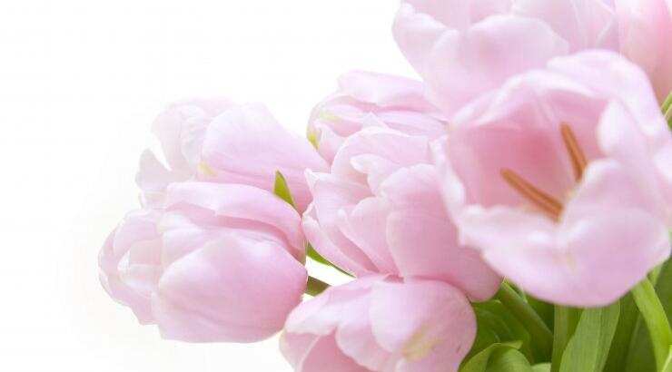 Διακόσμηση εκκλησίας και δεξίωσης