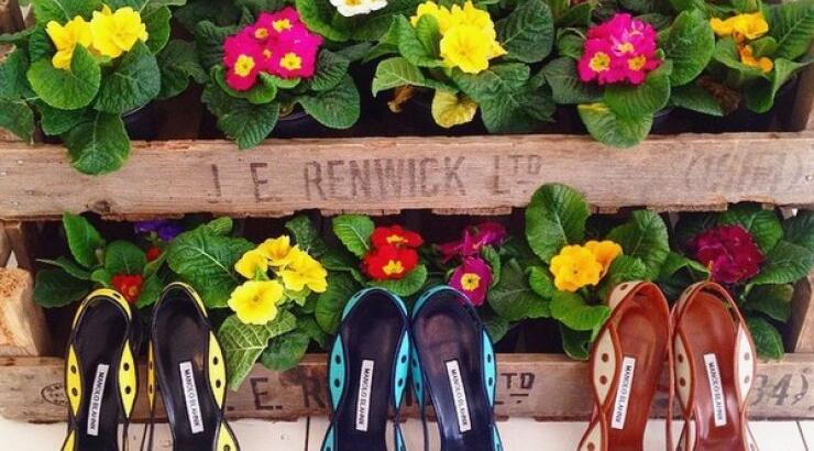 Τα ωραιότερα παπούτσια από το instagram account του Manolo Blahnik 