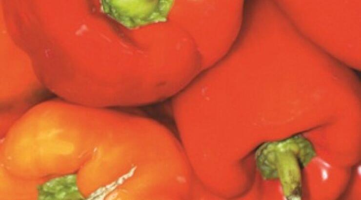 Χορτοφαγία: Τι πρέπει να γνωρίζεις (Μέρος 2ο)