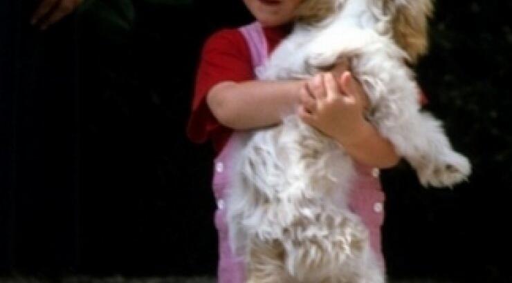 Αναγνωρίζετε τον κοκκινομάλλη μπόμπιρα της φωτογραφίας;