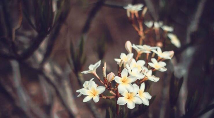 Τι προβλέπουν τα ζώδια για την Κυριακή 15 Μαρτίου 2020;