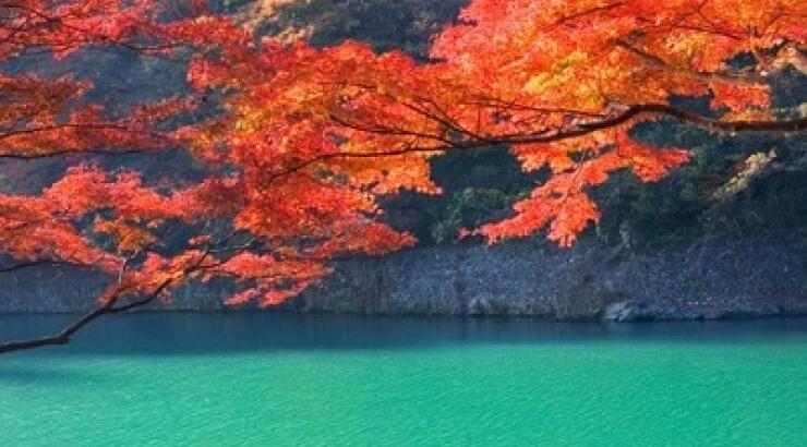 Κιότο, η πιο όμορφη πόλη της Ιαπωνίας