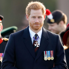 Πρίγκιπας Harry: Η απρόοπτη στιγμή με κατσίκα σε μάθημα yoga που έγινε viral
