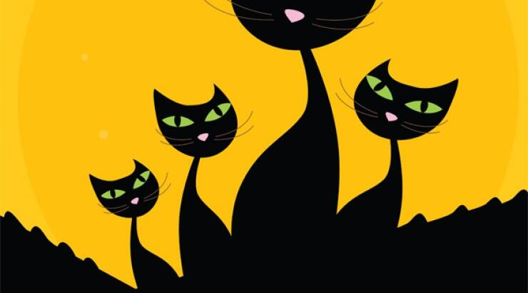 CATS: Ένα μιούζικαλ από τη σχολή μουσικής και μπαλέτου La Ronda 