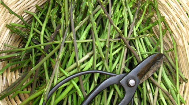 Οι τροφές που βοηθάνε στην αποτοξίνωση