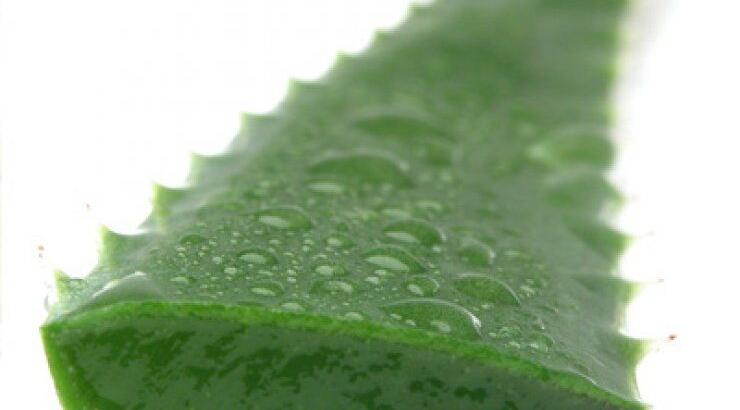 Top 5 Φυσικά Προϊόντα για Υγιεινά Μαλλιά!