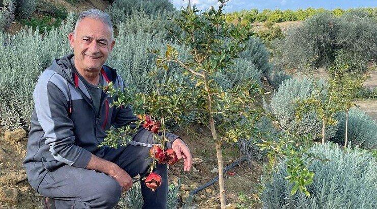 Αβέρωφ Νεοφύτου: Έχετε δει το εντυπωσιακό αγρόκτημα που διαθέτει στην Αργάκα; 